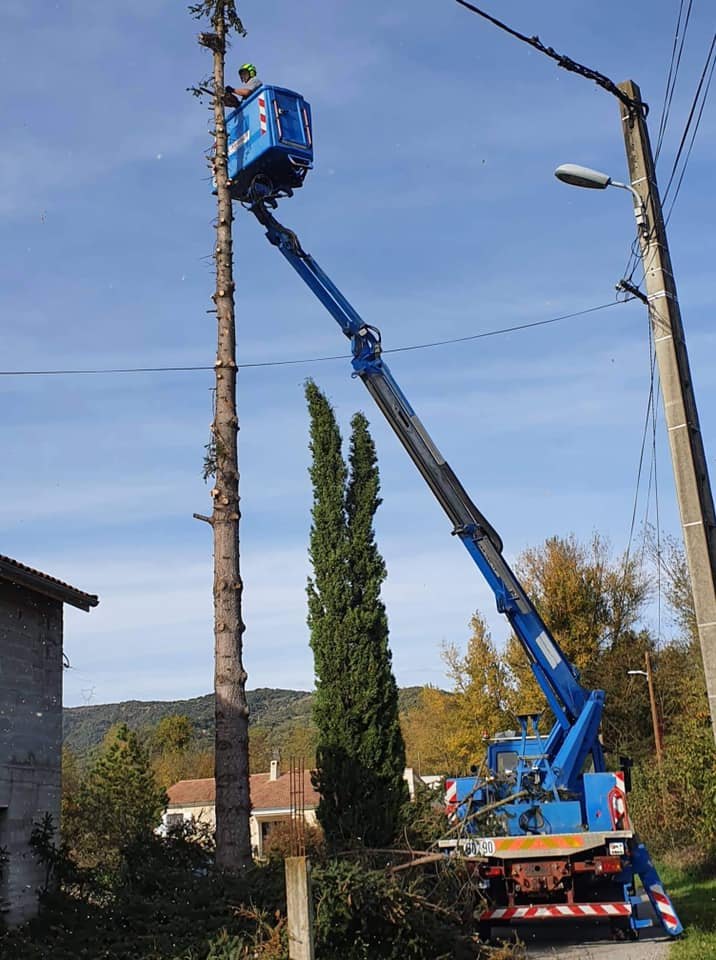 Élagage en nacelle réalisé par MAXIBOIS
